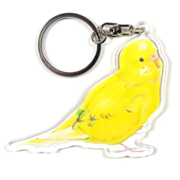 インコの写真のアクキー