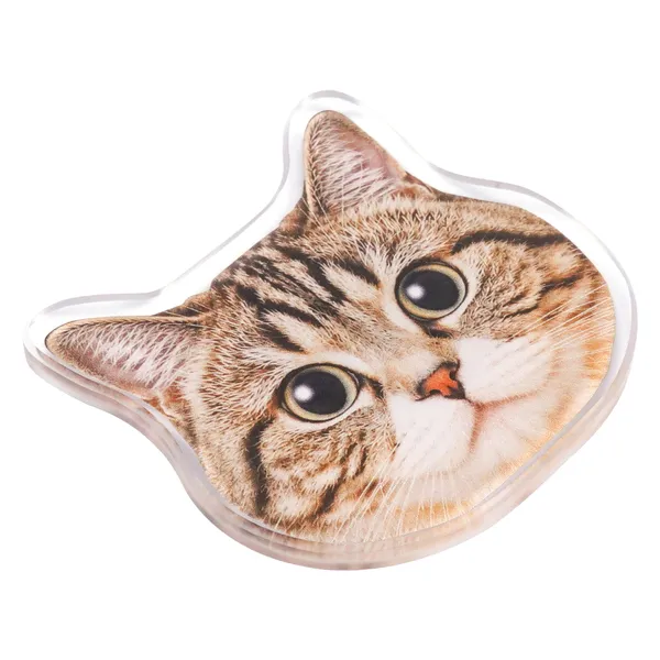 猫の写真のアクリルマグネット