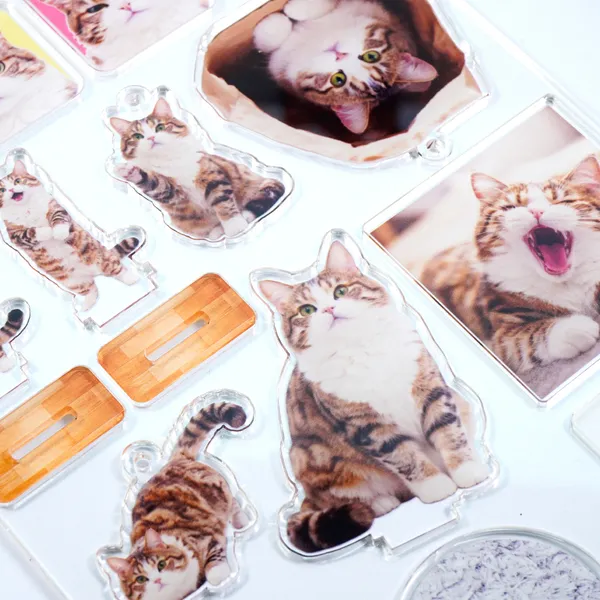 アクリル詰め放題 ファングッズ