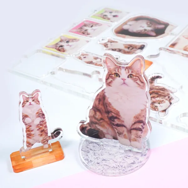 アクリル詰め放題 ファングッズ